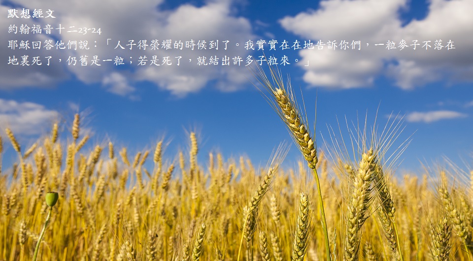 20170411培靈祈禱會-神的救恩-每日默想.jpg